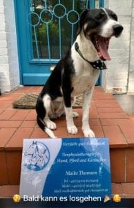 Hund Toffe mit Firmenschild