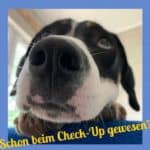 Schon beim Check-up gewesen?