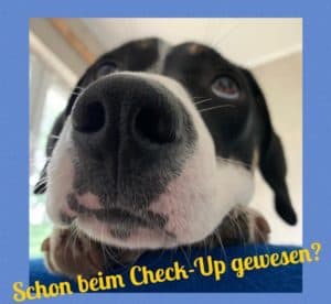 Schon beim Check-up gewesen?