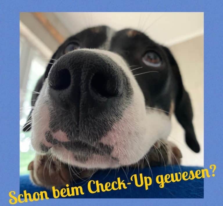 Schon beim Check-up gewesen?