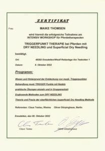 Zertifikat Triggerpunkttherapie