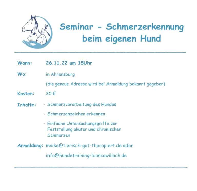 Seminar - Schmerzerkennung beim eigenen Hund