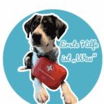 Erste Hilfe für Hunde und Katzen
