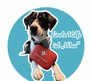 Erste Hilfe für Hunde und Katzen