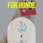 Erste Hilfe Seminar für Hunde und Katzen