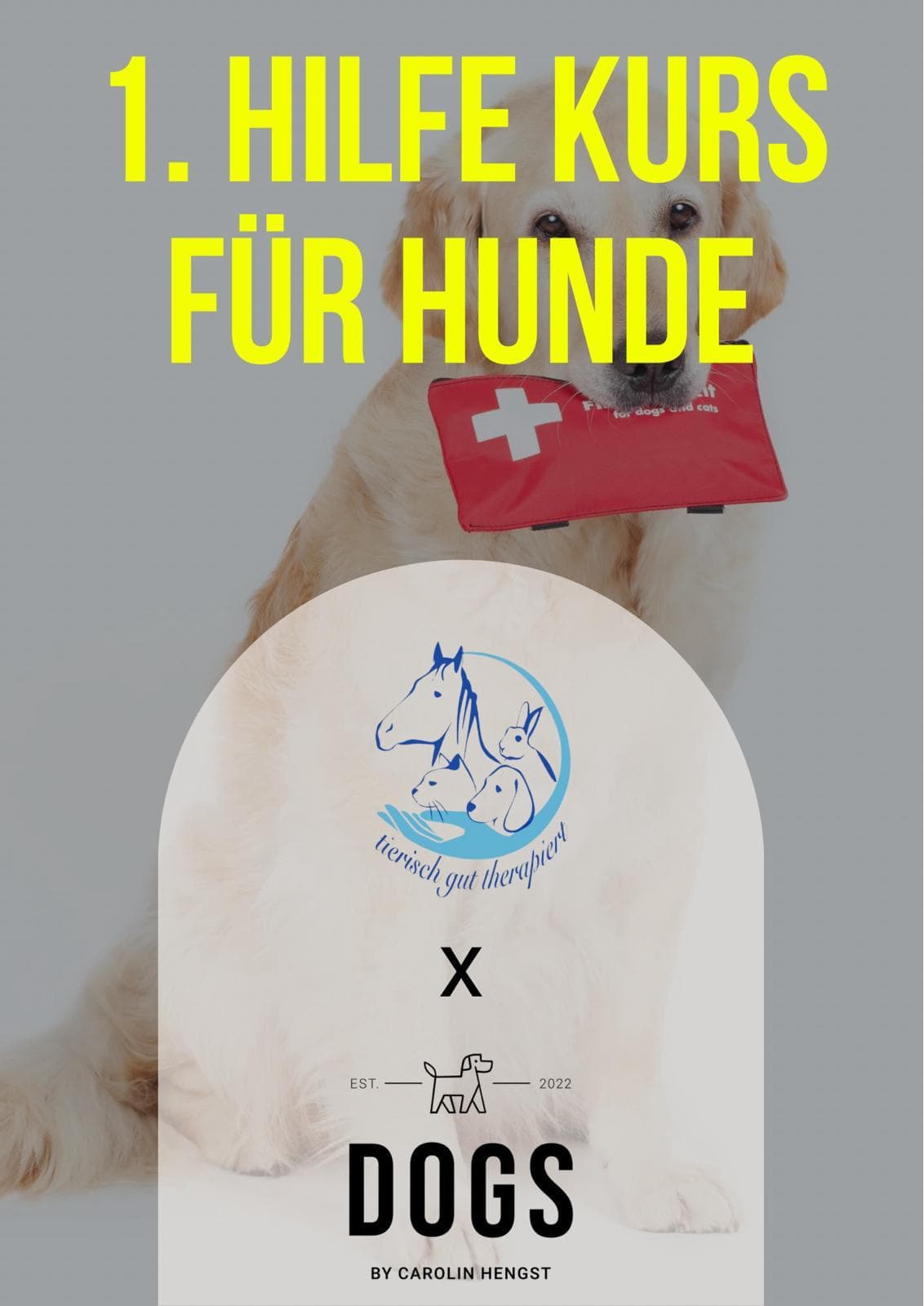 Erste Hilfe Seminar für Hunde und Katzen